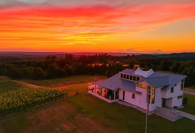 Modern white vineyard building with metal roof at sunset, surrounded by grapevines and rolling countryside under a vivid red-orange sky